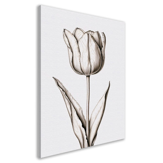 Elegante tulp in zwart-wit lijnen canvas