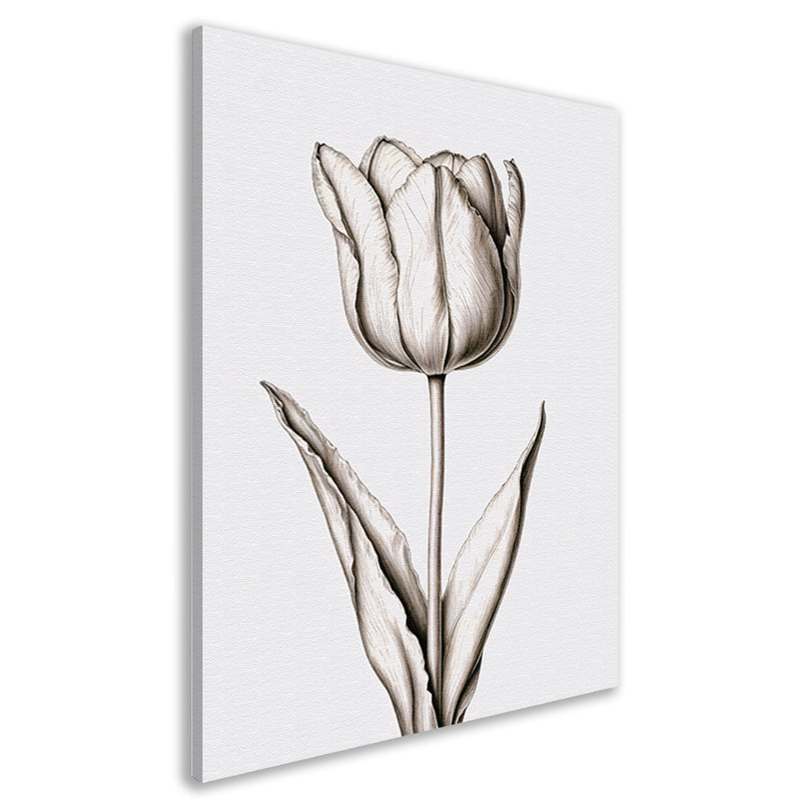 Elegante tulp in zwart-wit lijnen canvas