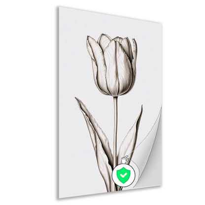 Elegante tulp in zwart-wit lijnen poster