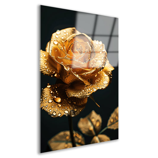 Prachtige gouden roos met reflecterende waterdruppels acrylglas