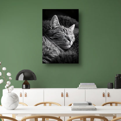 Zwart-witfoto van een slapende kat poster