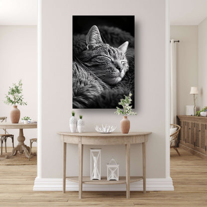 Zwart-witfoto van een slapende kat poster