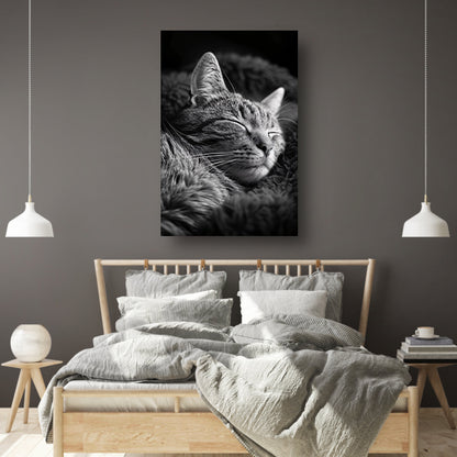Zwart-witfoto van een slapende kat poster