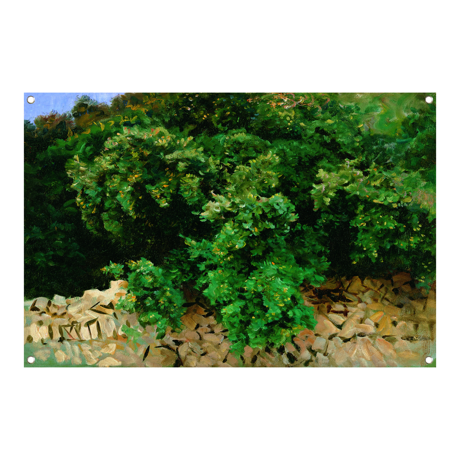 Ilex Bomen. Mallorca - John Singer Sargent tuinposter