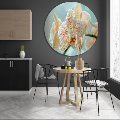 Close-up van een bloeiende orchidee forex muurcirkel