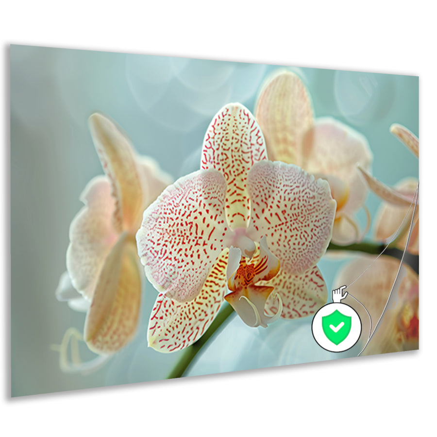 Close-up van een bloeiende orchidee poster