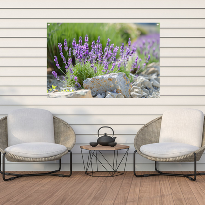 Lavendelbloemen in bloei naast grijsbruine rotsen tuinposter