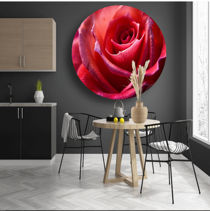 Elegante rode roos in volle bloei close-up aluminium muurcirkel