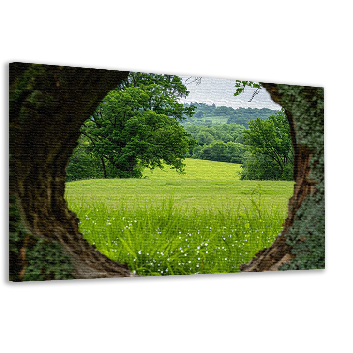 Natuurlandschap door een houten raam canvas