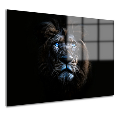 Indrukwekkende leeuw met hypnotiserende blauwe ogen acrylglas