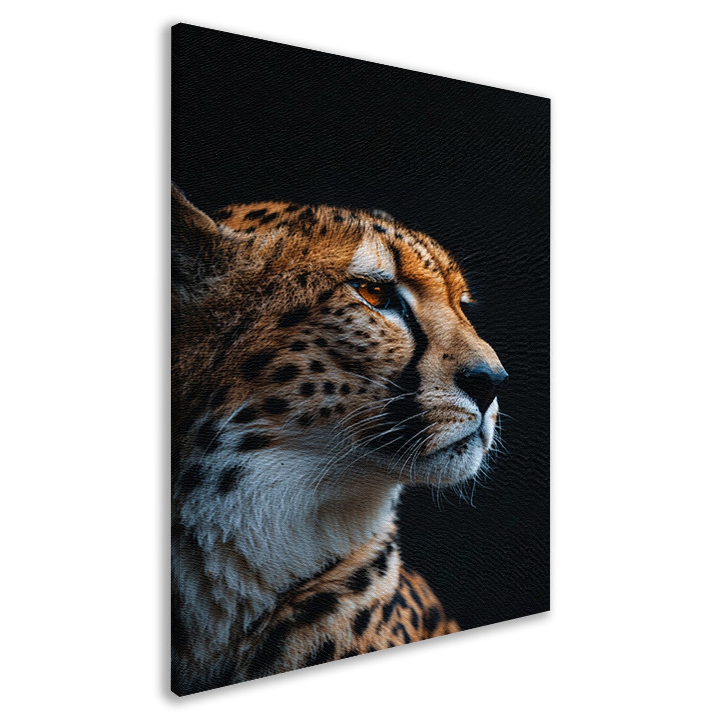 Portret van een jachtluipaard in de schaduw canvas