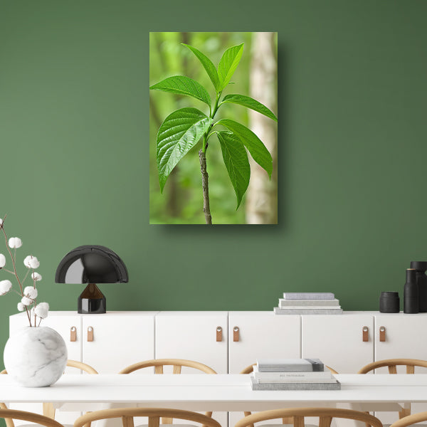 Jonge groene plant in de zon poster