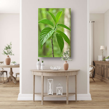 Jonge groene plant in de zon acrylglas