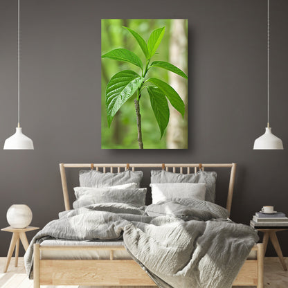 Jonge groene plant in de zon acrylglas