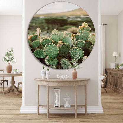 Levendige groene cactussen in weids landschap aluminium muurcirkel