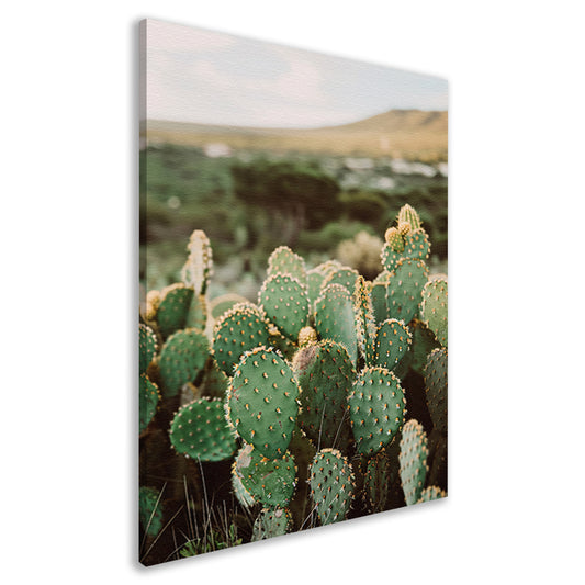 Levendige groene cactussen in weids landschap canvas