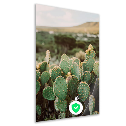 Levendige groene cactussen in weids landschap poster