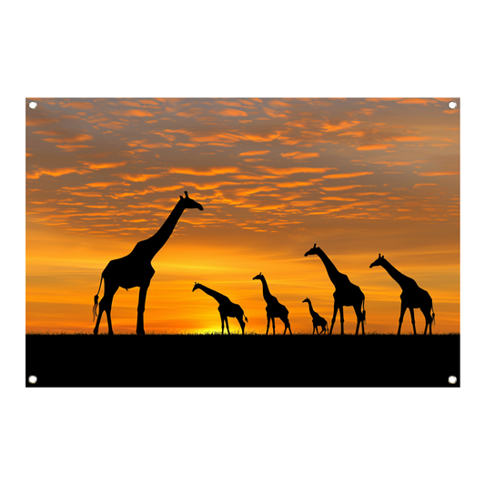Silhouetgiraffes Zonsondergang Savanne tuinposter