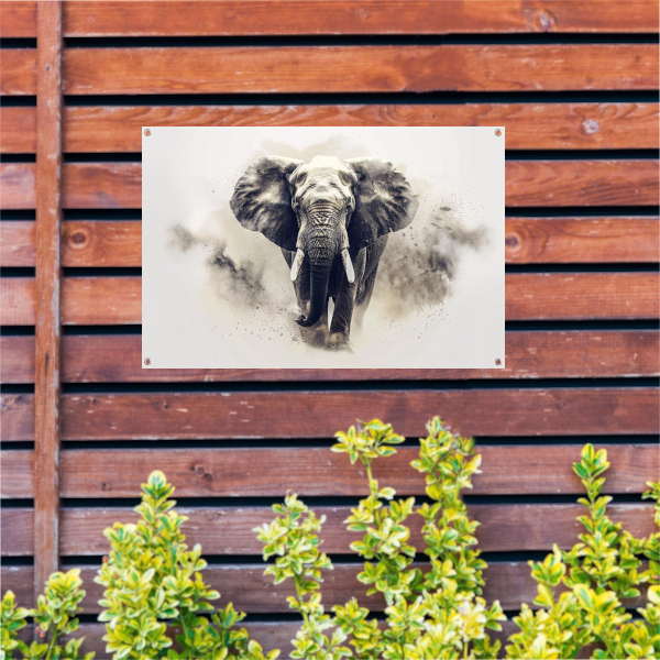 Majestueus olifant portret in zwart-wit tuinposter