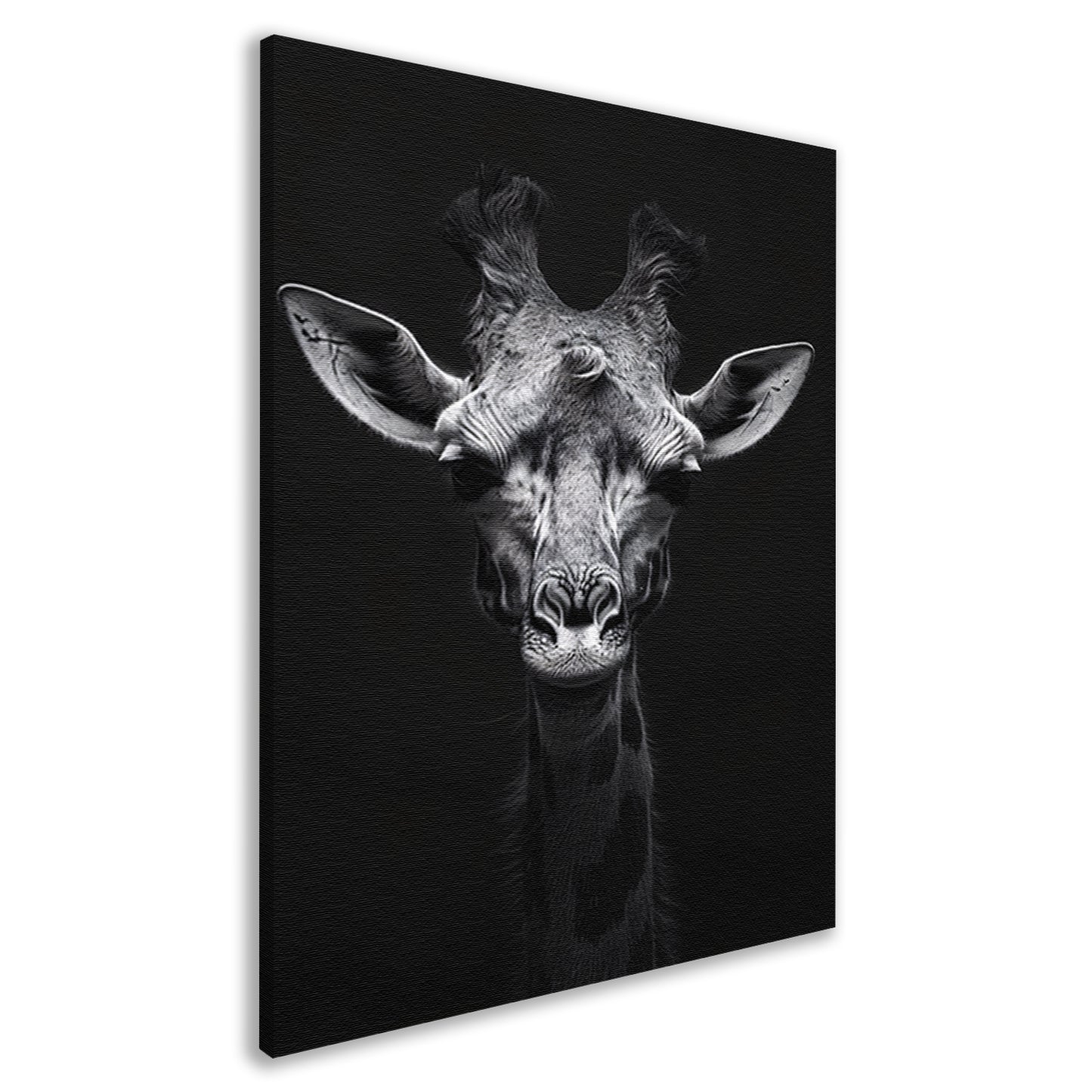 Zwart-wit portret van een giraffe canvas