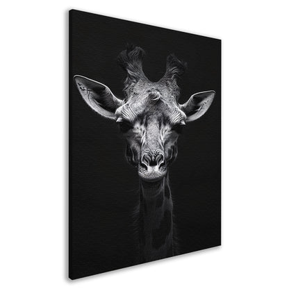 Zwart-wit portret van een giraffe canvas