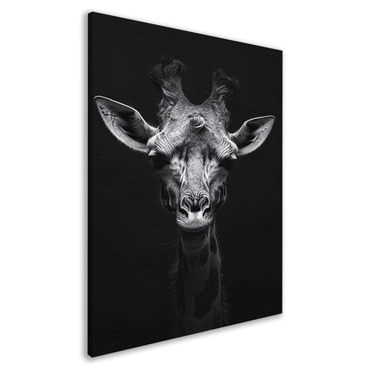 Zwart-wit portret van een giraffe canvas