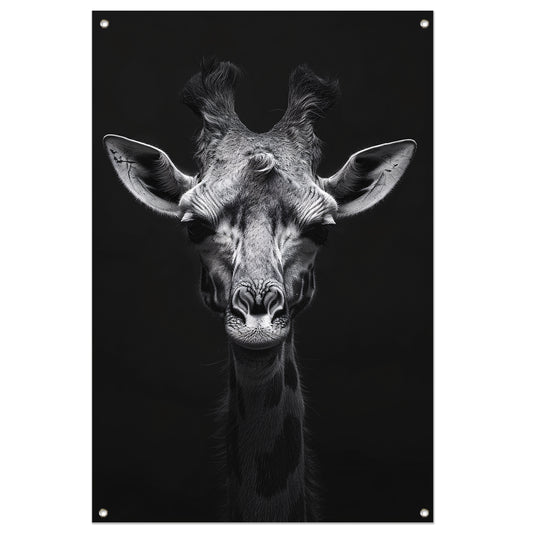 Zwart-wit portret van een giraffe tuinposter