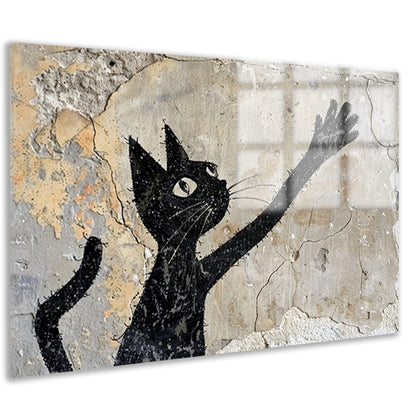 Zwarte kat op verweerde muur reikend omhoog acrylglas