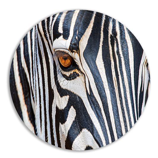 Zebra oog in indrukwekkende zwart-wit close-up forex muurcirkel