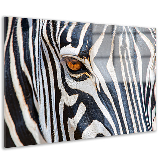 Zebra oog in indrukwekkende zwart-wit close-up acrylglas