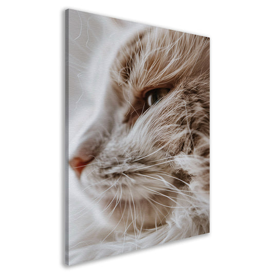 Close-up portret van een kat canvas