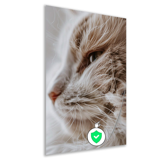 Close-up portret van een kat poster