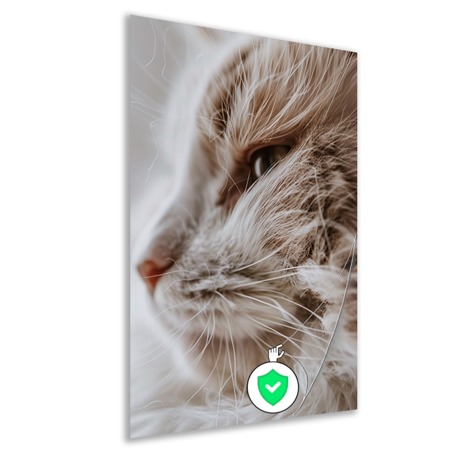 Close-up portret van een kat poster