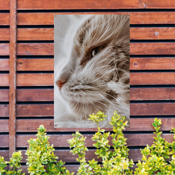 Close-up portret van een kat tuinposter