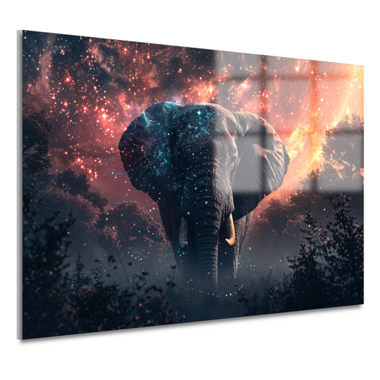 Olifant onder sterrenhemel acrylglas