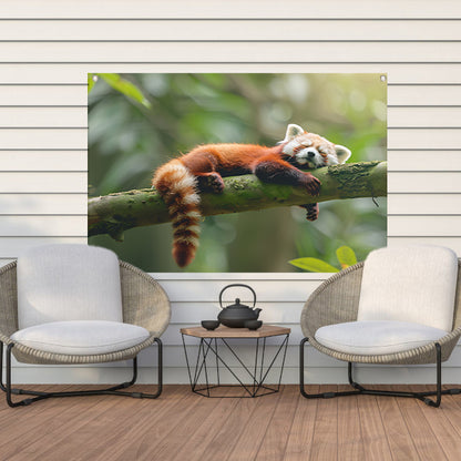 Rode panda ontspannen op een boomtak   tuinposter