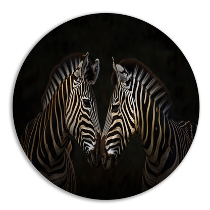 Twee zebras in een donkere omgeving aluminium muurcirkel