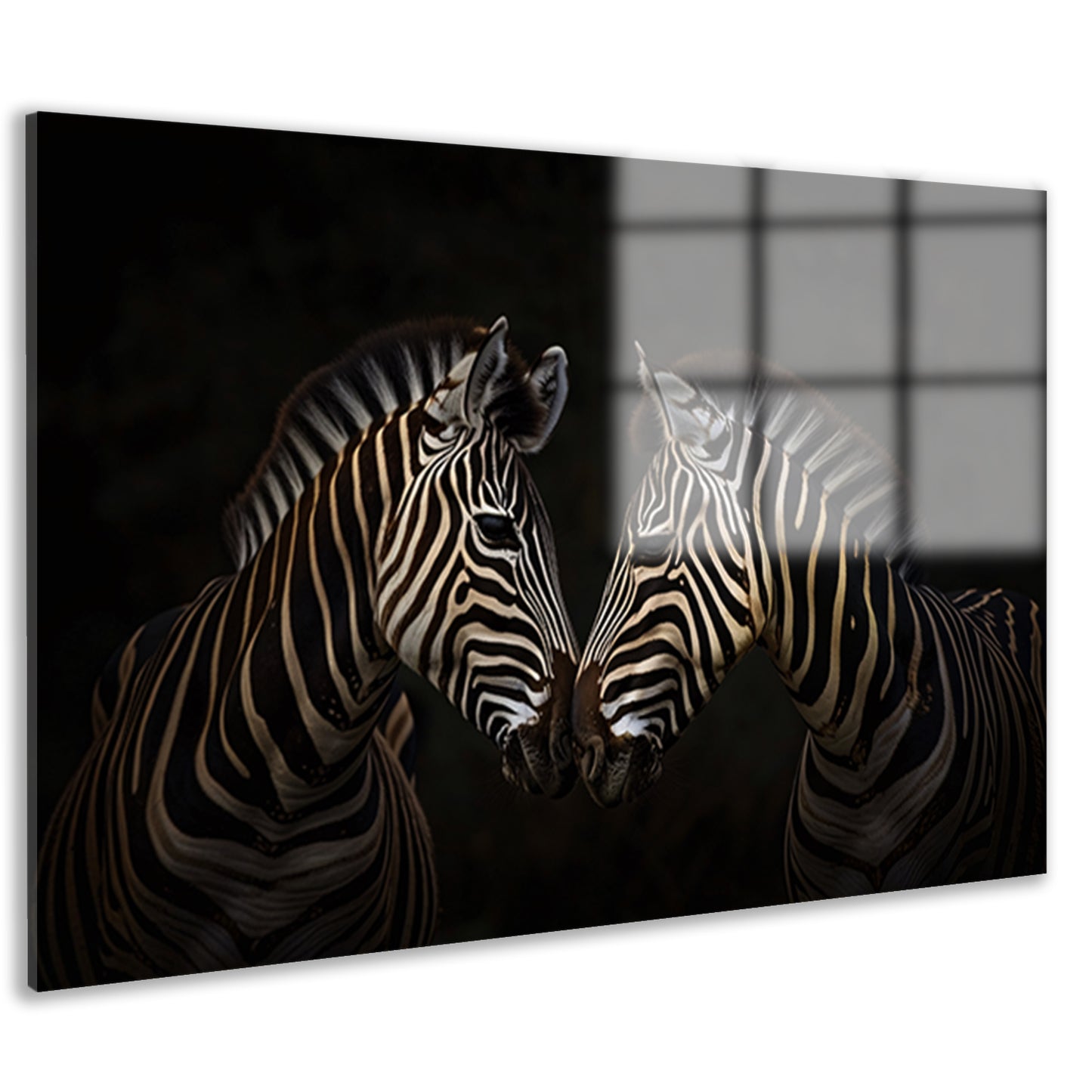 Twee zebras in een donkere omgeving acrylglas