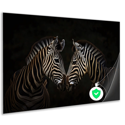 Twee zebras in een donkere omgeving poster