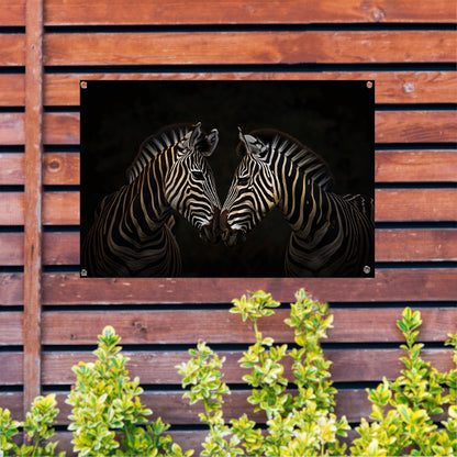 Twee zebras in een donkere omgeving tuinposter