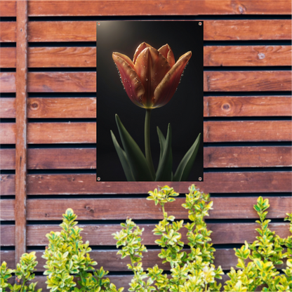 Dauwdruppels op levendige oranje tulp tuinposter