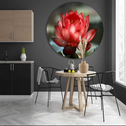 Rode lotus met groene bladeren in detail   aluminium muurcirkel