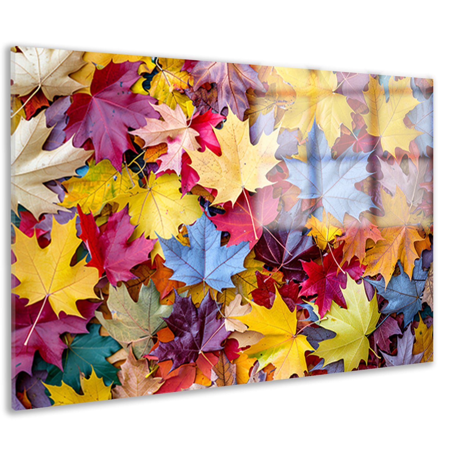 Kleurrijk herfstbladeren acrylglas