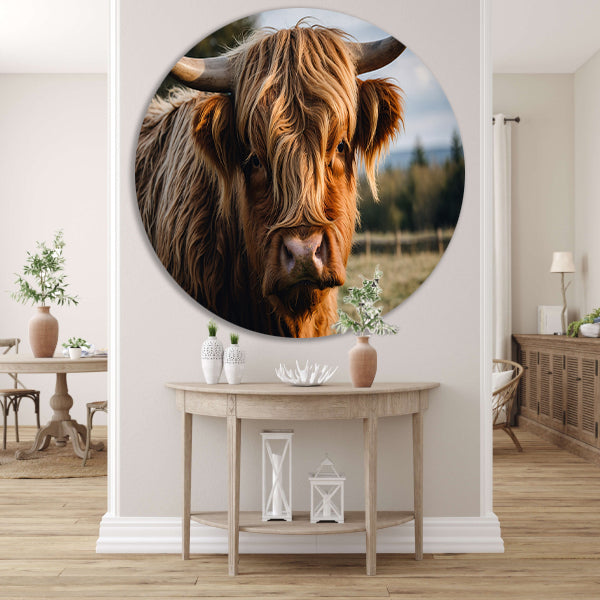 Schotse hooglander in een groen veld aluminium muurcirkel
