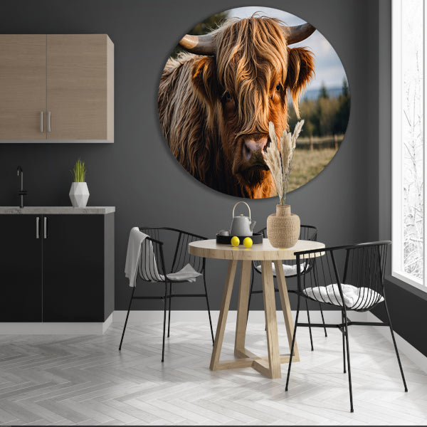Schotse hooglander in een groen veld aluminium muurcirkel