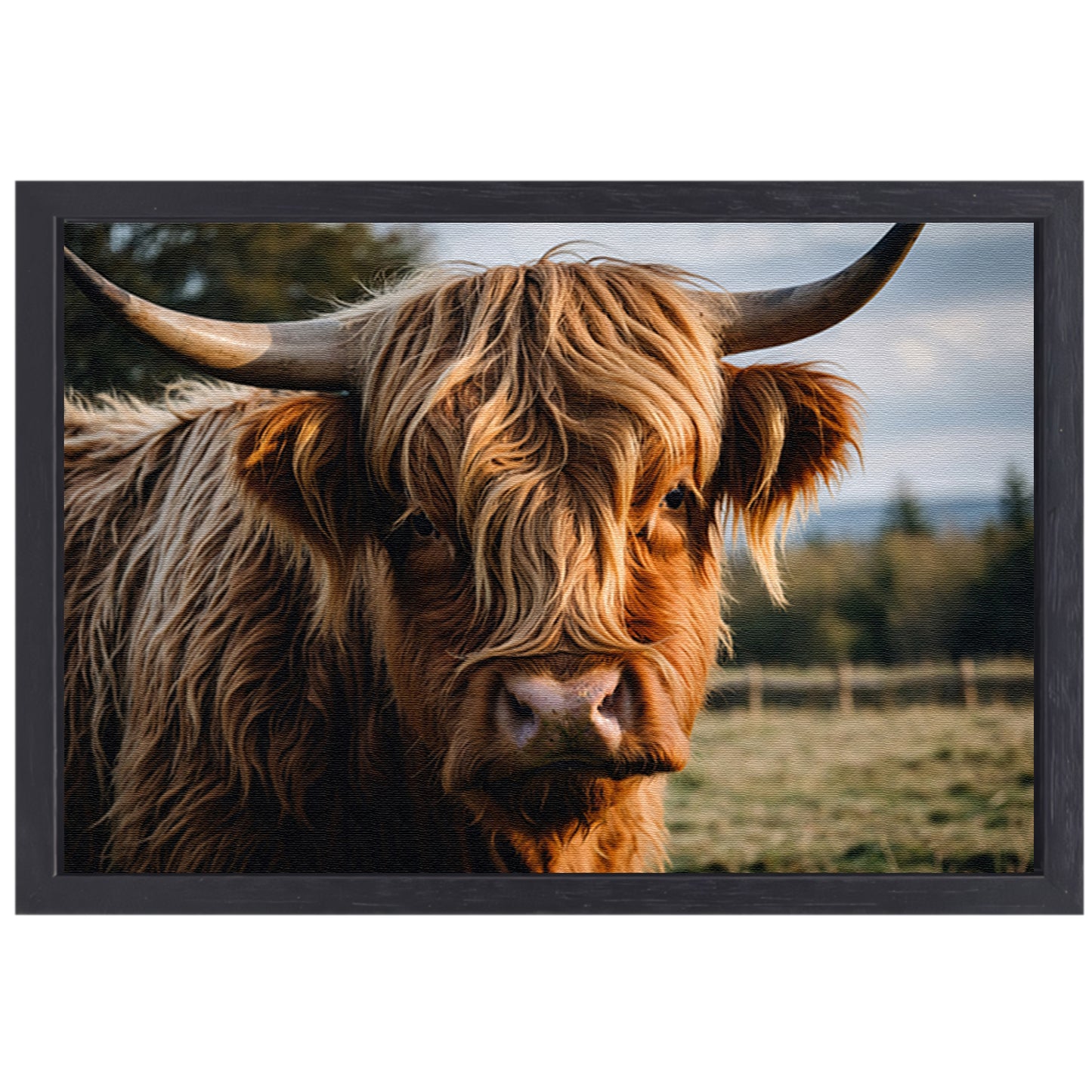 Schotse hooglander in een groen veld canvas met baklijst
