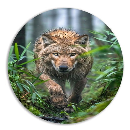 Wolf in het bos aluminium muurcirkel
