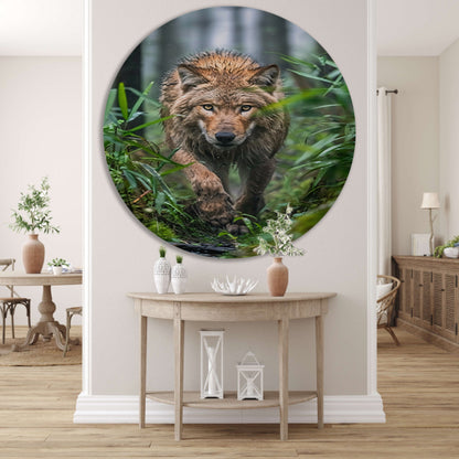 Wolf in het bos forex muurcirkel