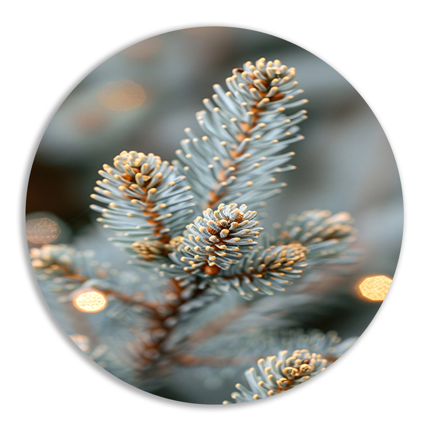 Wintertak met Warme Lichtjes aluminium muurcirkel