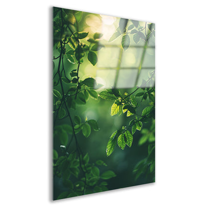 Zonnestralen door Groen Bladerdak acrylglas